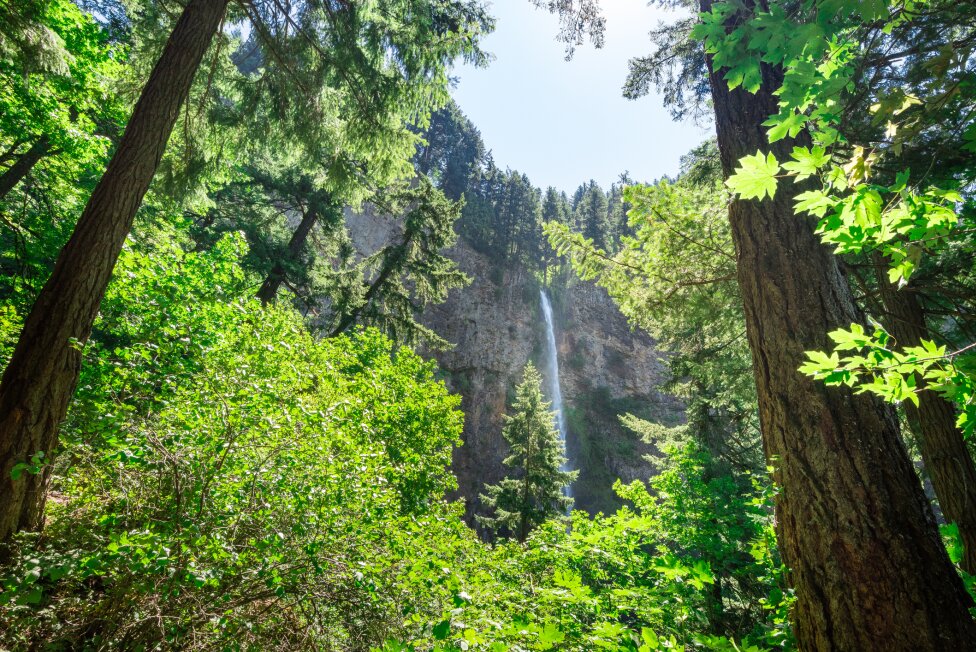 Multnomah Falls