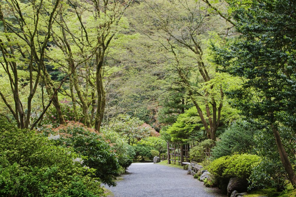 Portland Japanese Garden